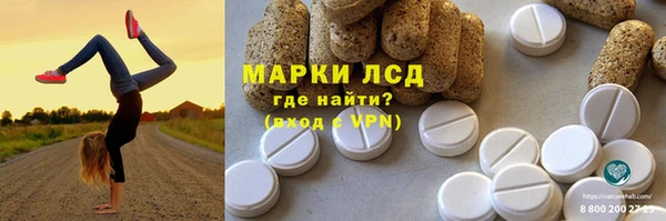 мяу мяу мука Алагир
