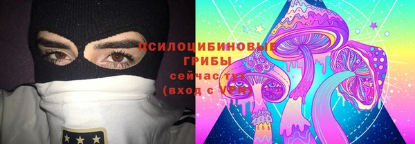 винт Майский